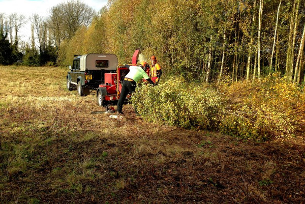 Clearing space on Site
